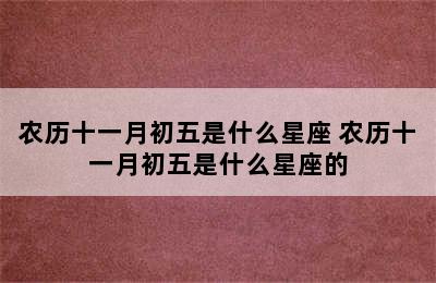 农历十一月初五是什么星座 农历十一月初五是什么星座的